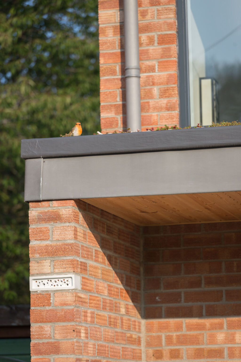 BBA Wrap Around House, Cambridge 